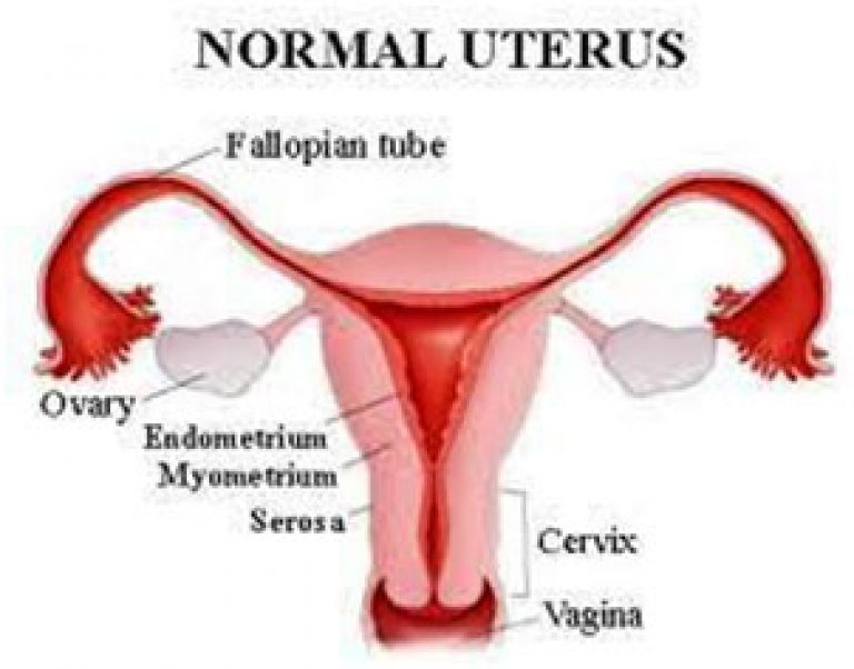 asopa-hospital-hysterectomy